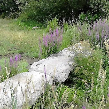 Casaneila 컨트리하우스 Neila de San Miguel