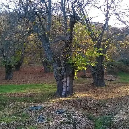 Country house Casaneila *
