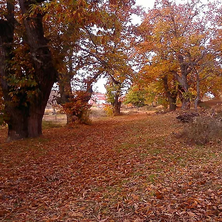 Country house Casaneila