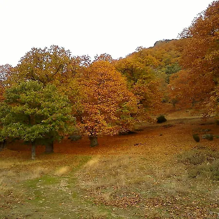 Casaneila Neila de San Miguel
