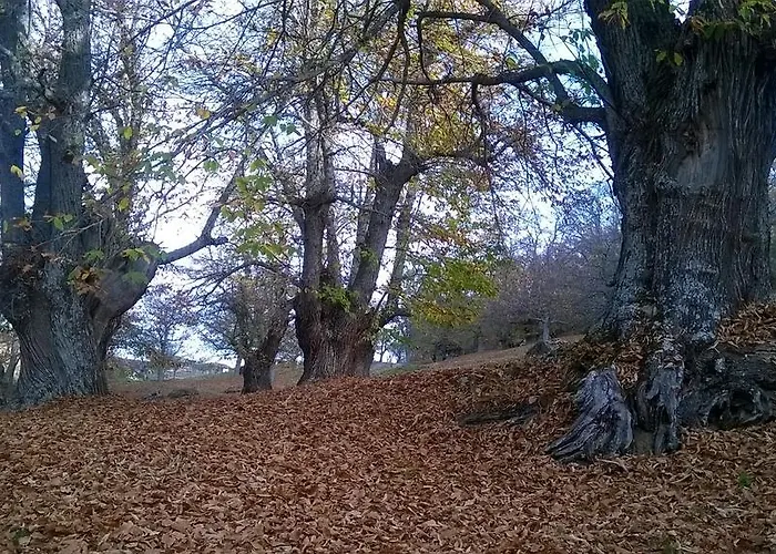 Летний дом Casaneila Нейла-де-Сан-Мигель