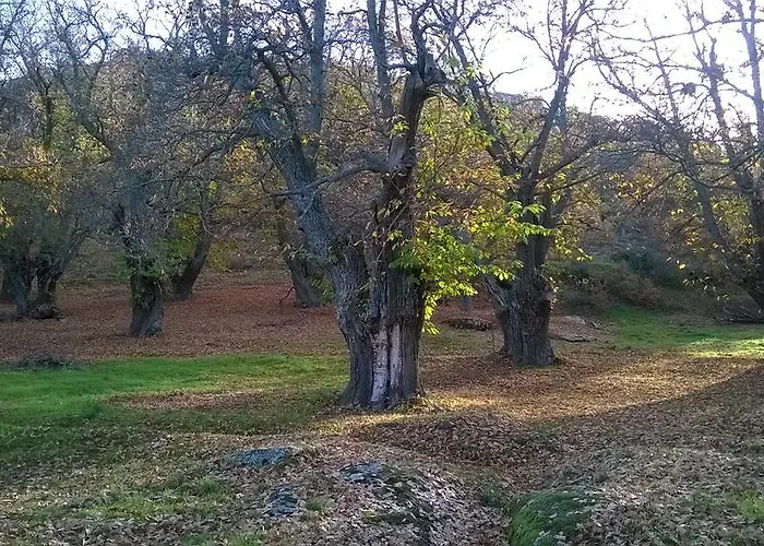 Летний дом Casaneila *