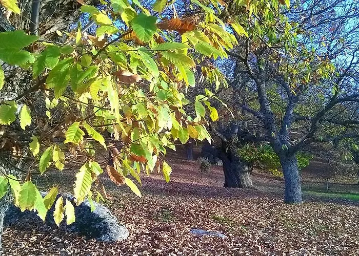 Летний дом Casaneila