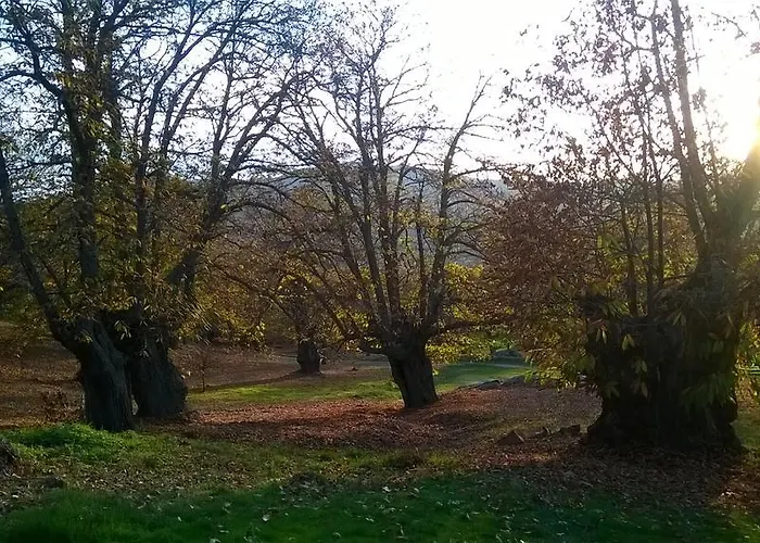 カントリーハウス Casaneila *