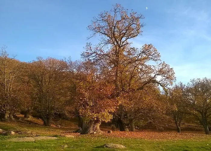 Casaneila Нейла-де-Сан-Мигель