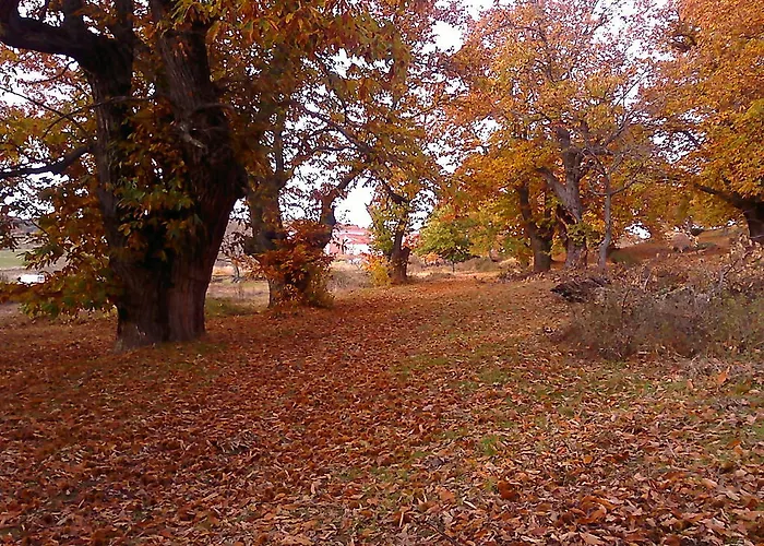 Летний дом Casaneila