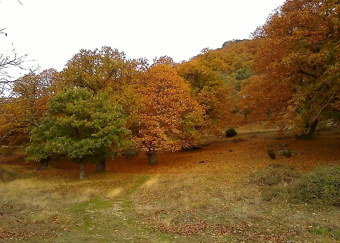 Casaneila Neila de San Miguel